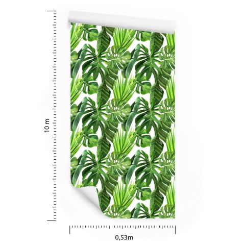 Tapeta Zielone Liście Palmy