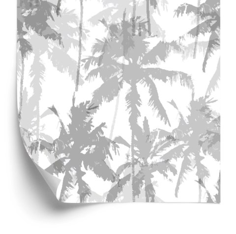 Tapeta Drzewa, Rośliny, Palmy Do Salonu, Sypialni