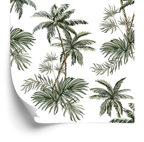 Tapeta Palmy Drzewa Rośliny Pokój Młodzieżowy