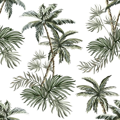 Tapeta Palmy Drzewa Rośliny Pokój Młodzieżowy
