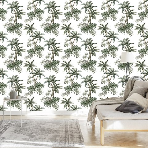 Tapeta Palmy Drzewa Rośliny Pokój Młodzieżowy