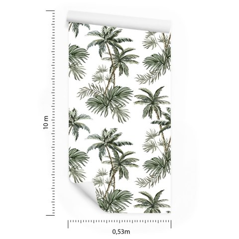 Tapeta Palmy Drzewa Rośliny Pokój Młodzieżowy
