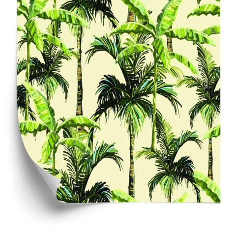 Tapeta Zieleń Palmy Liście Natura Przyroda Biuro