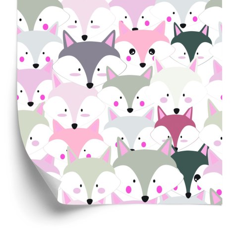 Tapeta Kolorowe Lisy