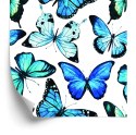 Tapeta Dla Dzieci Niebieskie Motyle Akwarela 3D