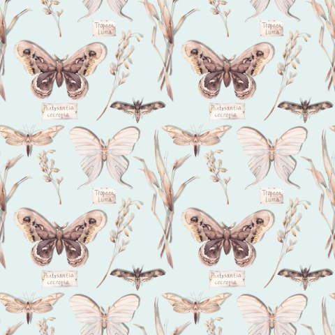 Tapeta Do Jadalni Motyle, Kwiaty, Rośliny, Natura