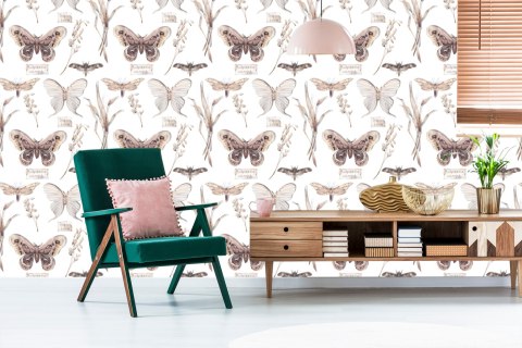 Tapeta Do Kuchni, Motyle, Kwiaty, Rośliny, Natura