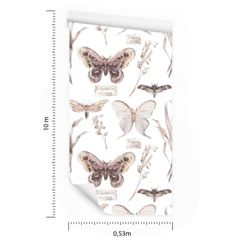 Tapeta Do Kuchni, Motyle, Kwiaty, Rośliny, Natura