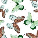 Tapeta Do Kuchni, Motyle, Natura, Przyroda