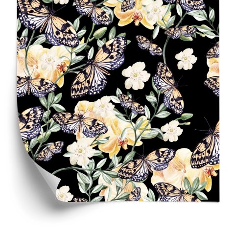 Tapeta Do Przedpokoju, Motyle, Kwiaty, Przyroda