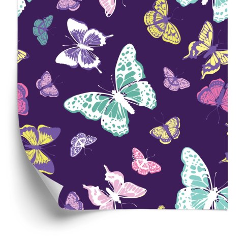 Tapeta Kolorowe Motyle, Natura, Do Pokoju Dziecka