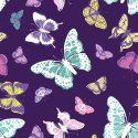 Tapeta Kolorowe Motyle, Natura, Do Pokoju Dziecka