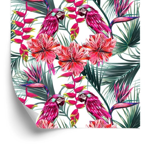 Tapeta Kolorowe Papugi