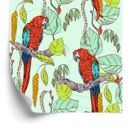 Tapeta - Piękne Kolorowe Papugi