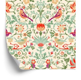 Tapeta - Piękne Wielobarwne Ptaki