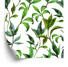 Tapeta Liście Akwarela