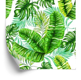Tapeta Liście Tropikalne Dżungla