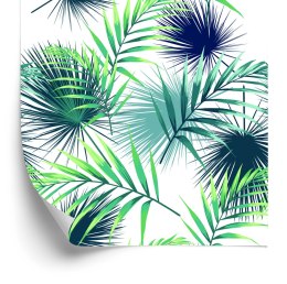 Tapeta Tropikalne Liście Palmowe