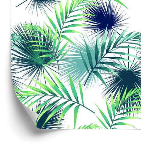 Tapeta Tropikalne Liście Palmowe