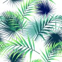 Tapeta Tropikalne Liście Palmowe