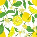 Tapeta Do Kuchni - Soczyste Cytryny