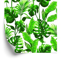 Tapeta Liście Monstera I Palmy