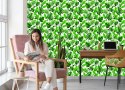 Tapeta Liście Monstera I Palmy