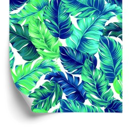 Tapeta Piękne Turkusowe Liście Tropikalne