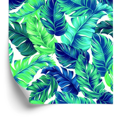Tapeta Piękne Turkusowe Liście Tropikalne