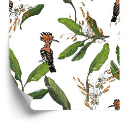 Tapeta Dudki I Liście