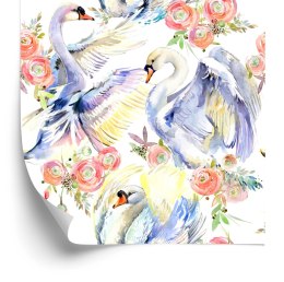 Tapeta Łabędzie Jak Malowane