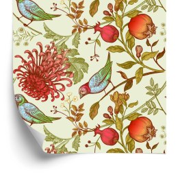 Tapeta Piękne Kolorowe Ptaki