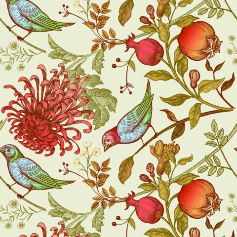 Tapeta Piękne Kolorowe Ptaki