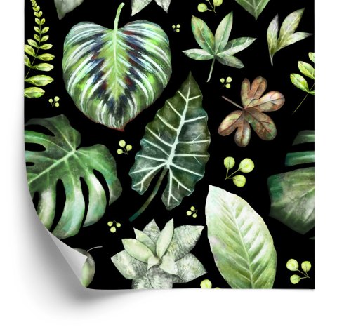 Tapeta Rośliny Na Ciemnym Tle