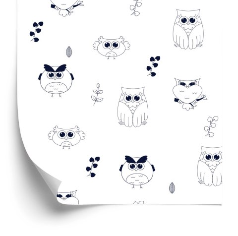 Tapeta Sowy Na Białym Tle
