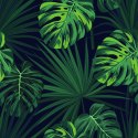 Tapeta Tropikalne Liście Monstery Na Ciemnym Tle