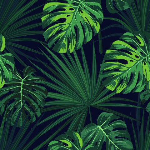 Tapeta Tropikalne Liście Monstery Na Ciemnym Tle