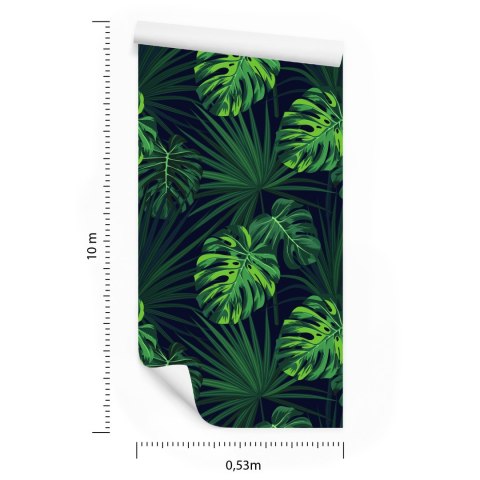 Tapeta Tropikalne Liście Monstery Na Ciemnym Tle