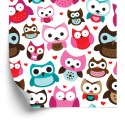 Tapeta Do Pokoju Dziewczynek Kolorowe Sowy Serca