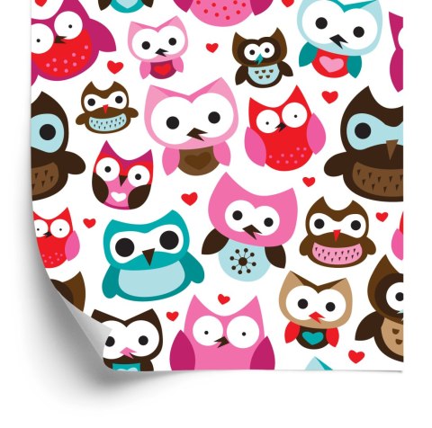 Tapeta Do Pokoju Dziewczynek Kolorowe Sowy Serca