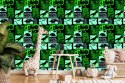 Tapeta Z Dinozaurami, Pokój Młodzieżowy