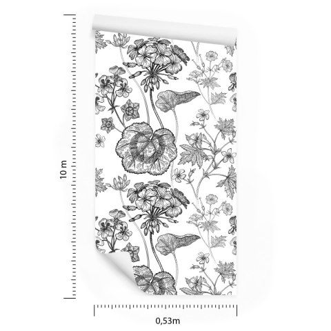 Tapeta Czarno-Białe Pelargonie