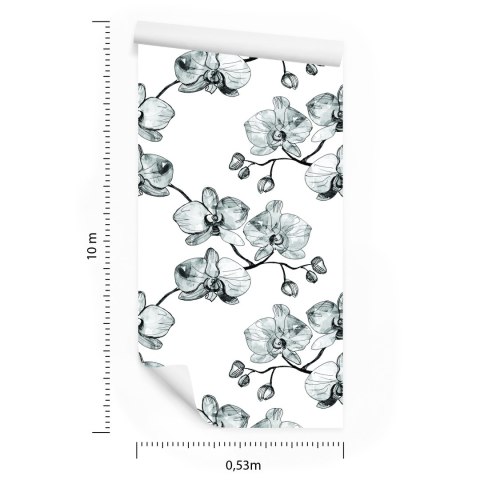 Tapeta Do Salonu Storczyki Kwiaty Orchidea Natura