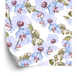 Tapeta Do Salonu Storczyki Liście Przyroda Rośliny