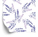 Tapeta Fiolet Lawendy