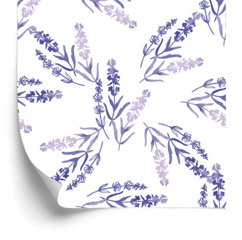 Tapeta Fiolet Lawendy
