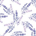 Tapeta Fiolet Lawendy