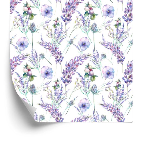 Tapeta Fioletowa Lawenda Rośliny