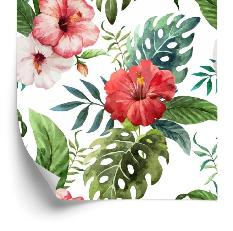 Tapeta Kolorowe Kwiaty