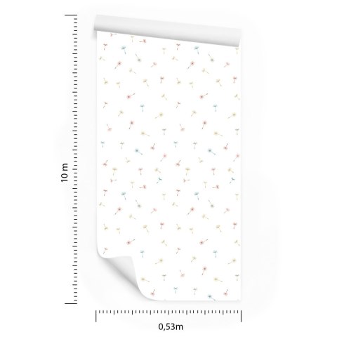 Tapeta Kolorowe Nasiona Dmuchawca